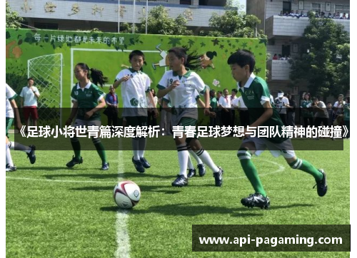 《足球小将世青篇深度解析：青春足球梦想与团队精神的碰撞》