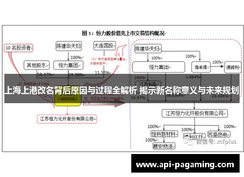 上海上港改名背后原因与过程全解析 揭示新名称意义与未来规划