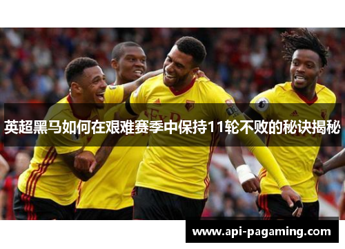 英超黑马如何在艰难赛季中保持11轮不败的秘诀揭秘