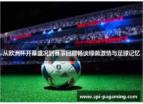 从欧洲杯开幕盛况到赛事回顾畅谈绿茵激情与足球记忆