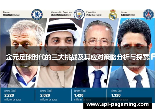 金元足球时代的三大挑战及其应对策略分析与探索