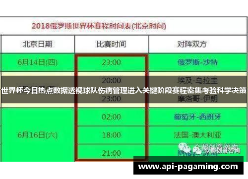 世界杯今日热点数据透视球队伤病管理进入关键阶段赛程密集考验科学决策