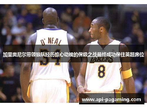 加里奥尼尔带领狼队经历惊心动魄的保级之战最终成功保住英超席位